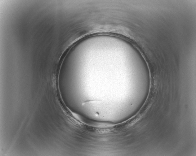 X0000073841505200608311921