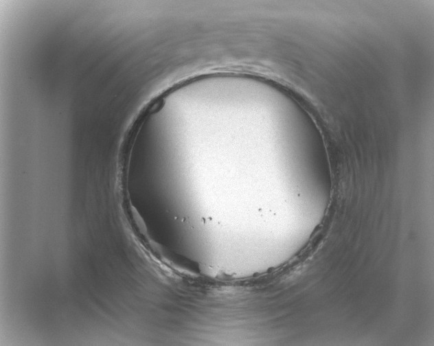 X0000073841506200608311921