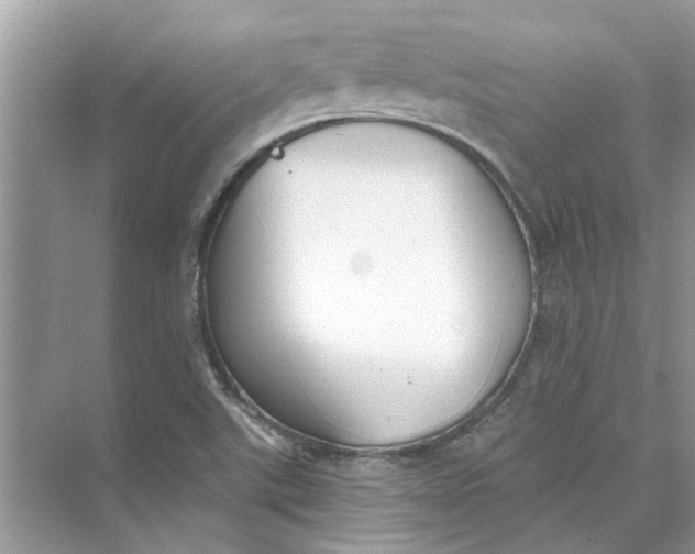 X0000073841507200608311921