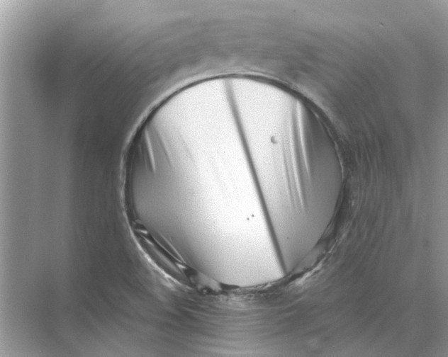 X0000073841508200608311921