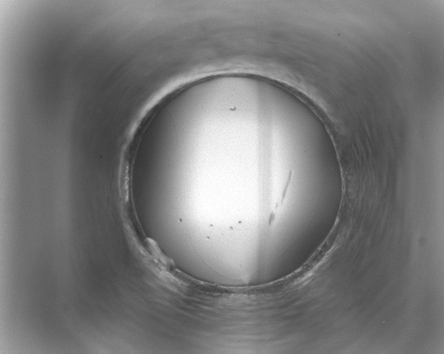 X0000073841510200608311921