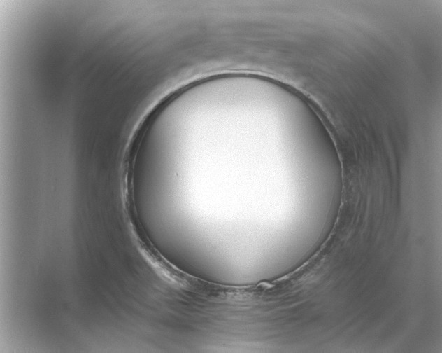 X0000073841511200608311921