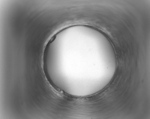 X0000073841512200608311921