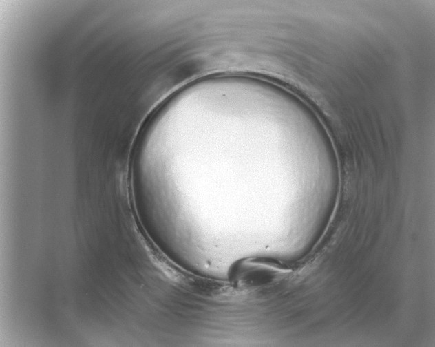 X0000073841513200608311921