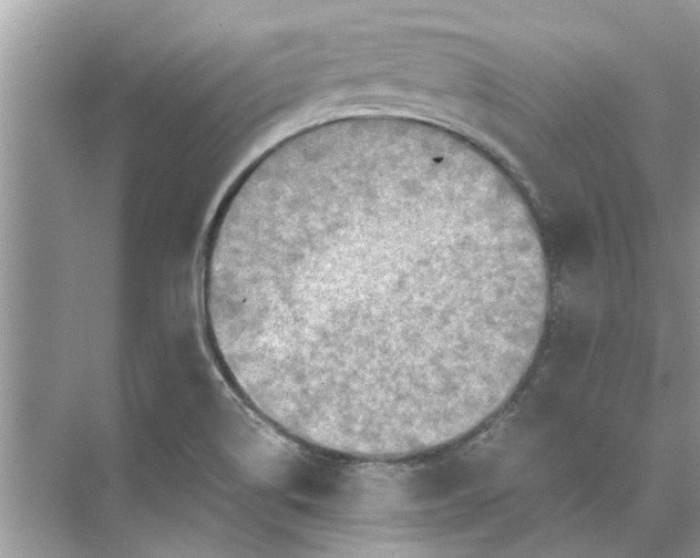 X0000073841514200608311921