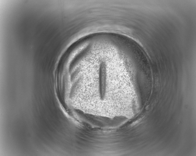 X0000073841515200608311921