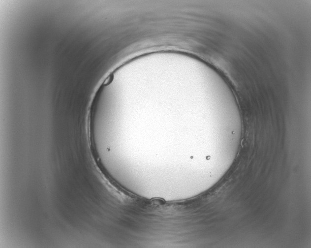 X0000073841516200608311921