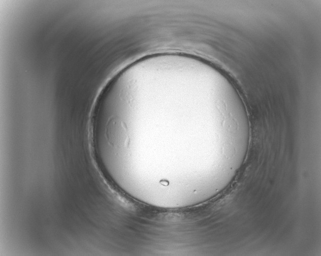 X0000073841517200608311921