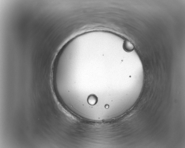 X0000073841518200608311921