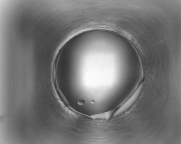 X0000073841520200608311921