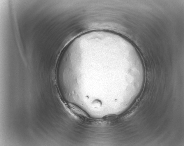 X0000073841521200608311921