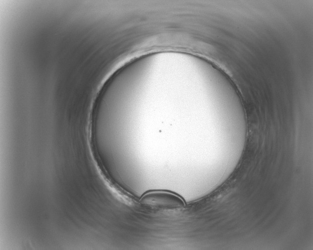 X0000073841523200608311921