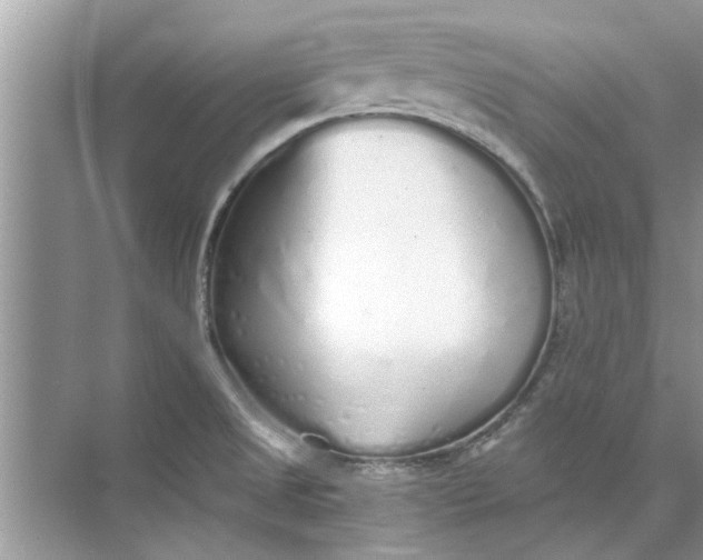 X0000073841525200608311921