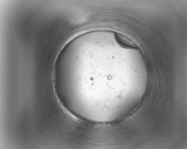 X0000073841526200608311921