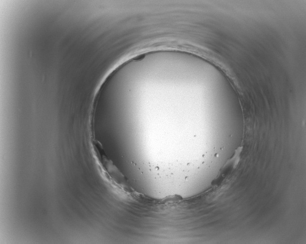 X0000073841530200608311921