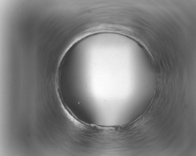 X0000073841531200608311921