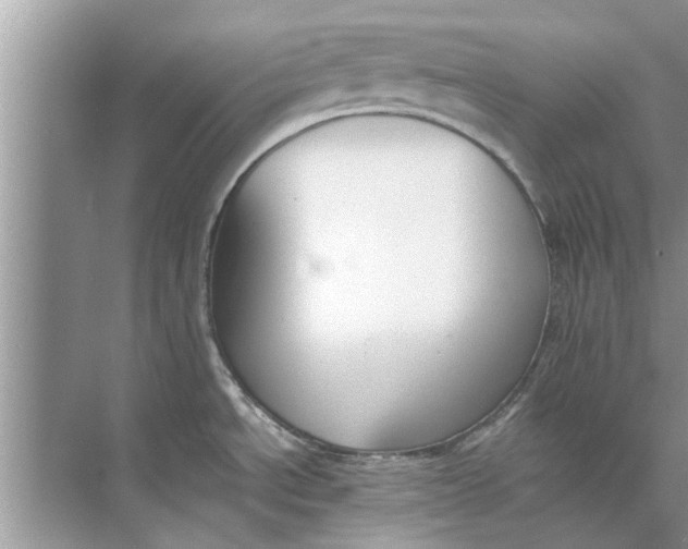 X0000073841534200608311921