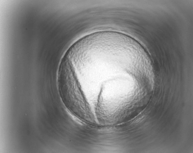 X0000073841535200608311921