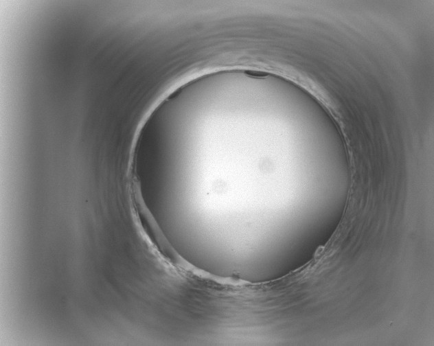 X0000073841536200608311921