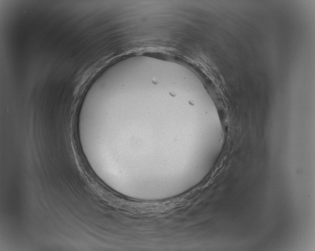 X0000073840001200609071553