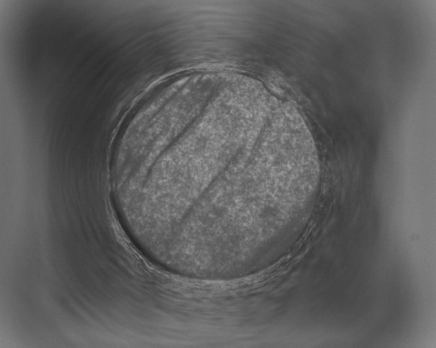 X0000073840002200609071553