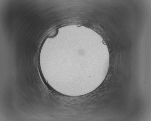 X0000073840003200609071553