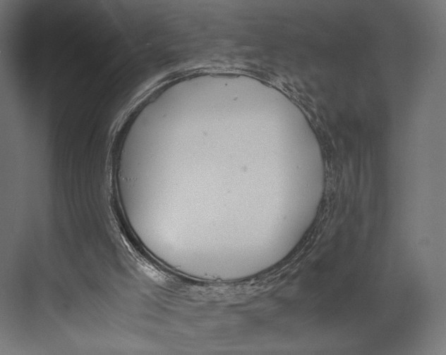 X0000073840005200609071553