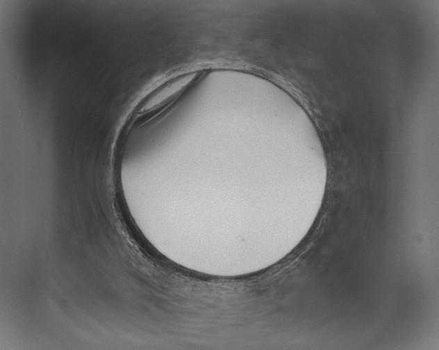 X0000073840008200609071553