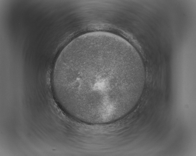 X0000073840010200609071553