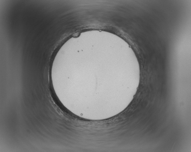 X0000073840011200609071553