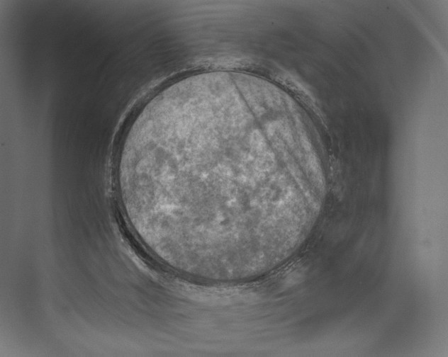 X0000073840012200609071553