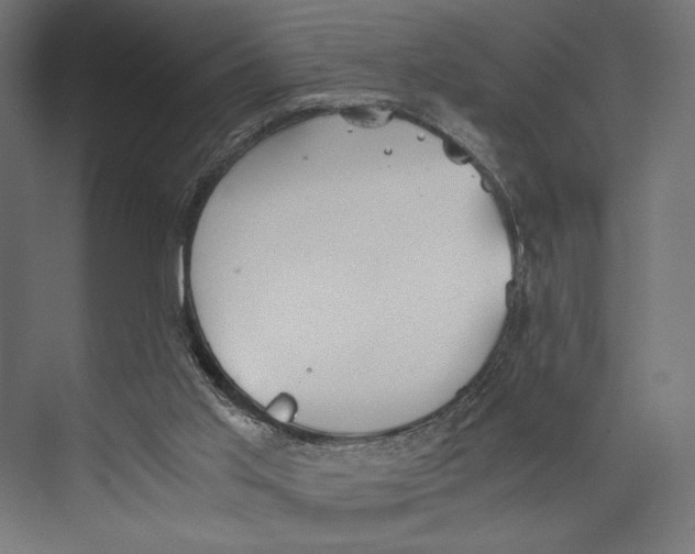 X0000073840013200609071553