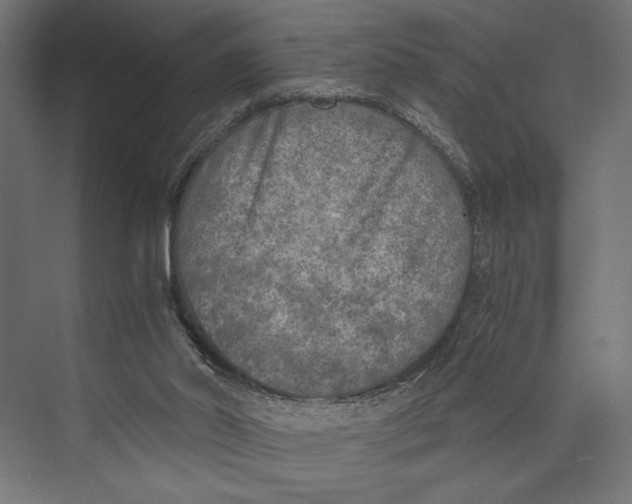 X0000073840014200609071553