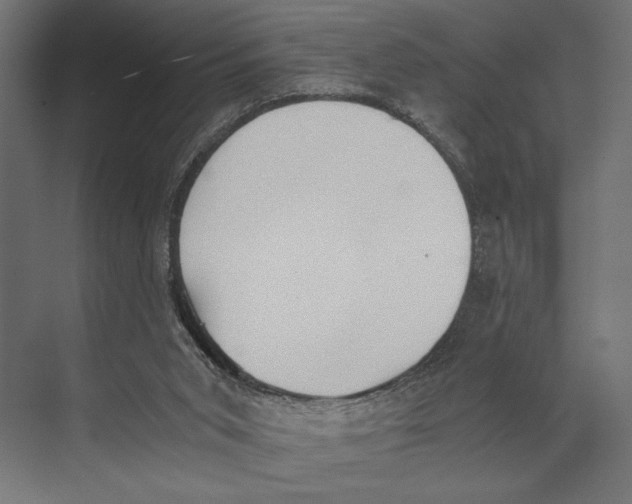 X0000073840015200609071553