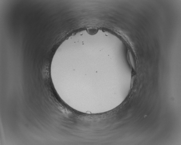 X0000073840017200609071553