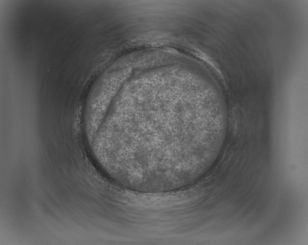 X0000073840018200609071553