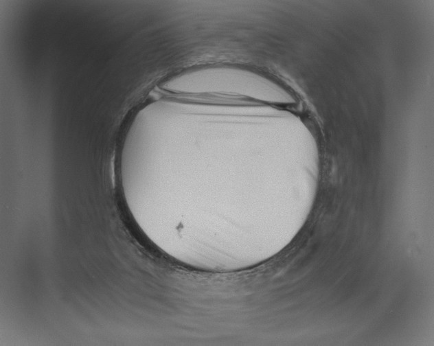 X0000073840019200609071553