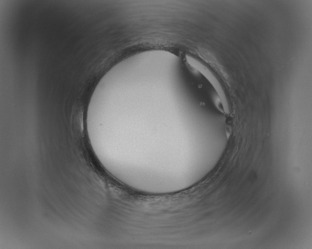 X0000073840021200609071553