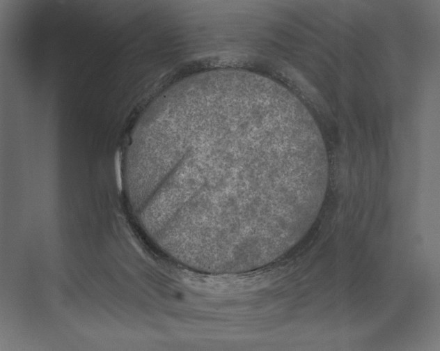 X0000073840022200609071553