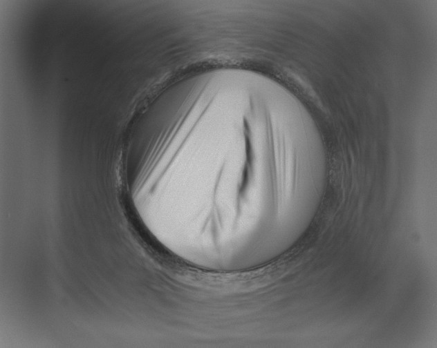 X0000073840023200609071553