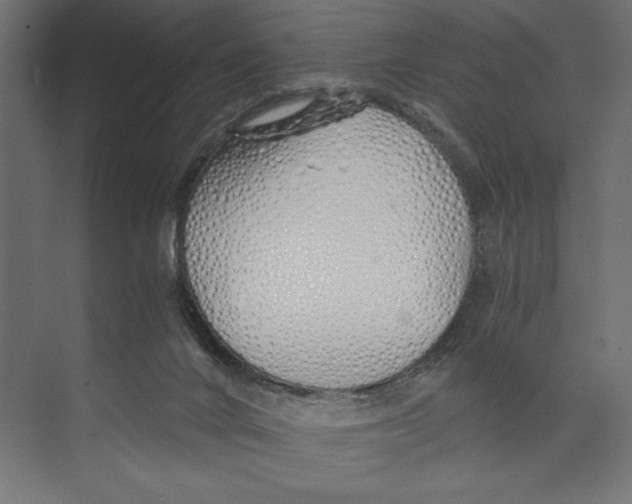 X0000073840024200609071553