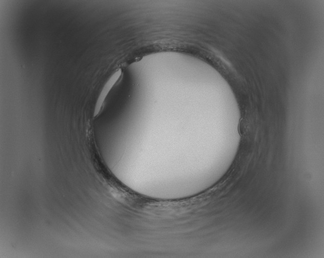 X0000073840025200609071553