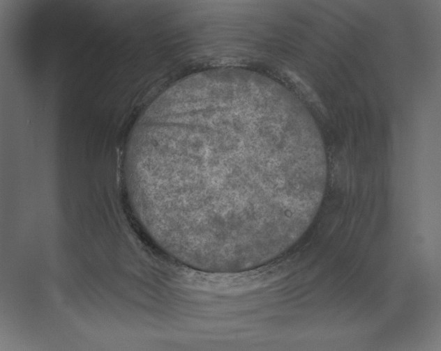 X0000073840026200609071553