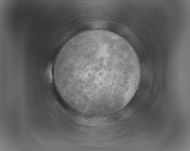 X0000073840028200609071553