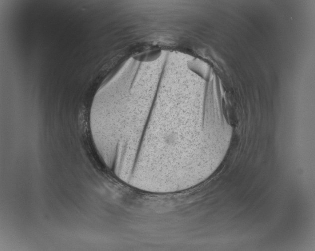 X0000073840029200609071553