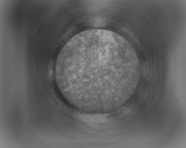 X0000073840032200609071552