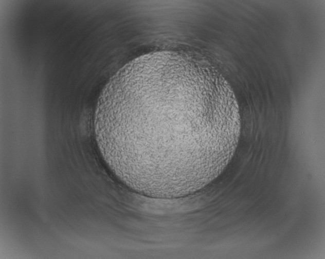 X0000073840034200609071552