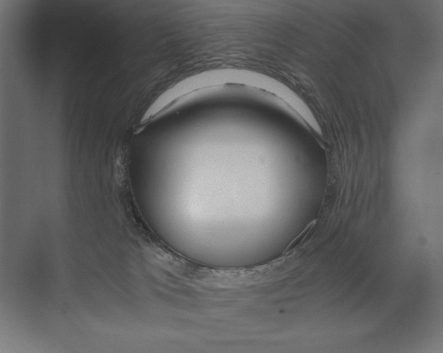 X0000073840037200609071552