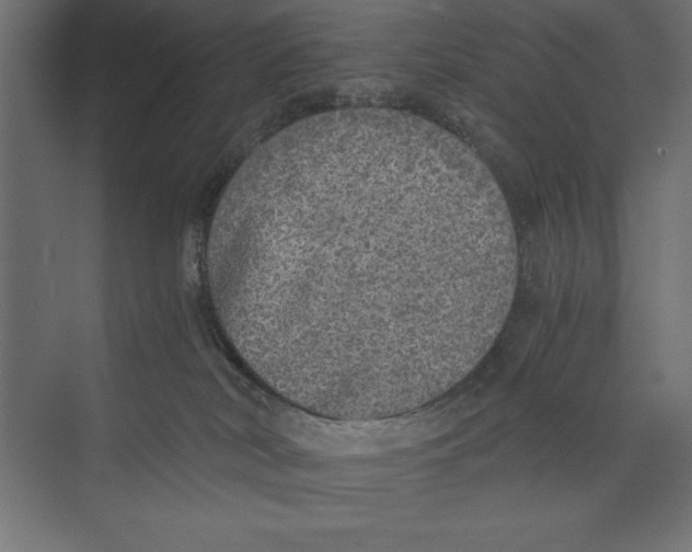 X0000073840038200609071552