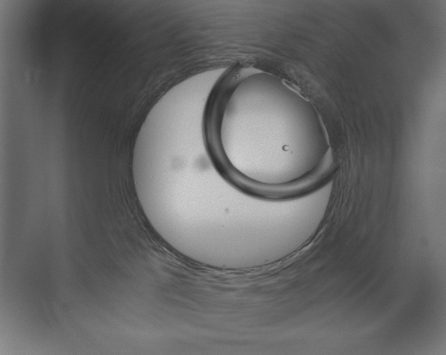 X0000073840041200609071552